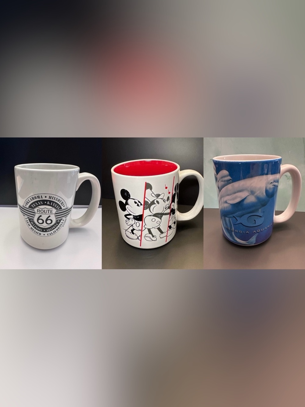 Road Trip Adventure Mug Bundle | Route 66 Disney Mickey Georgia Aquarium